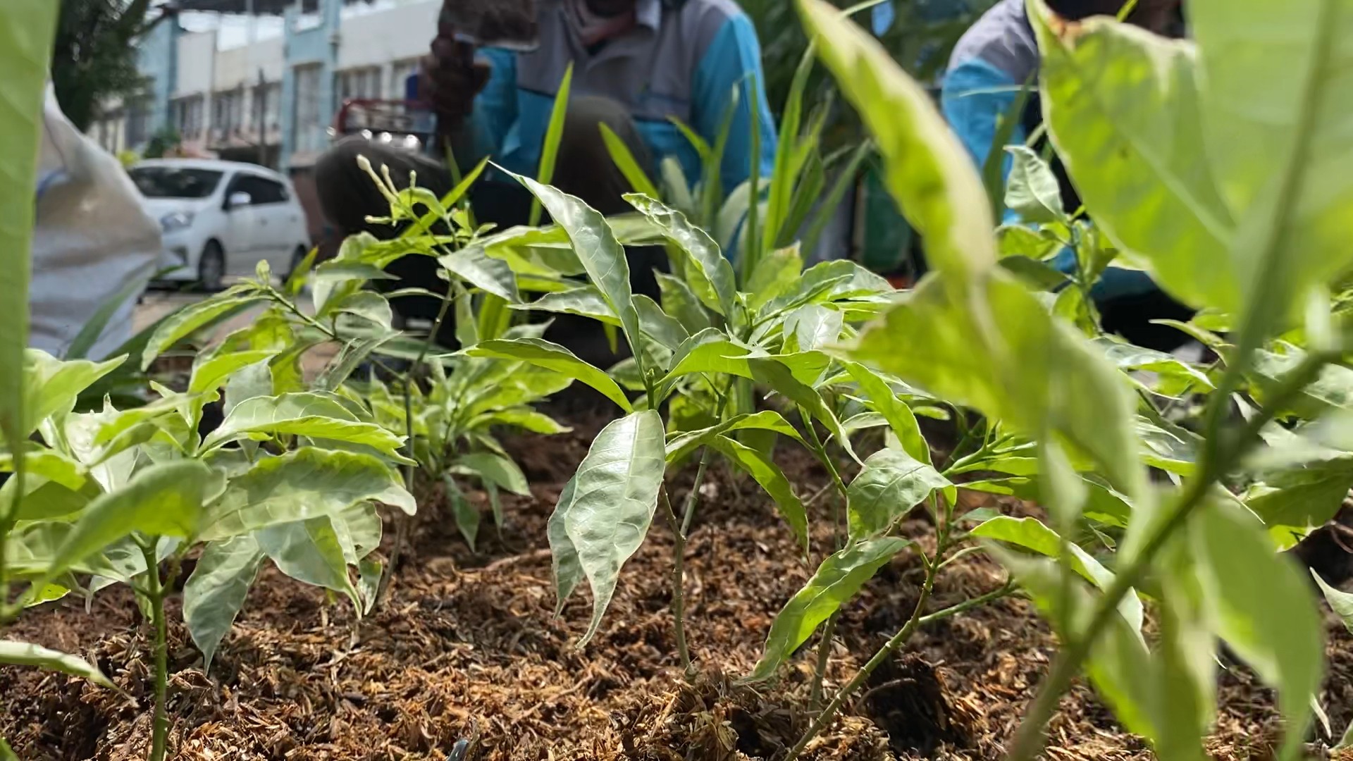 image of movers handling furniture