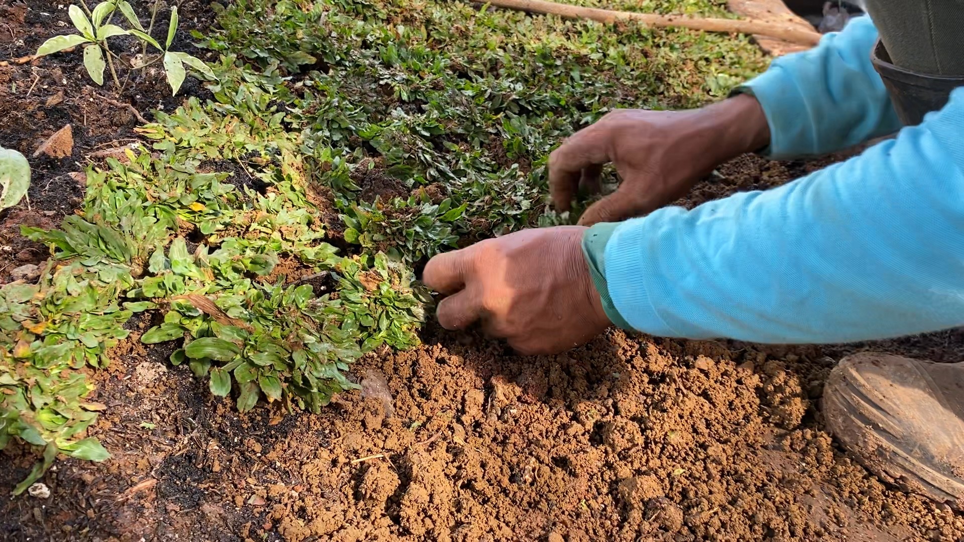 image of movers handling furniture