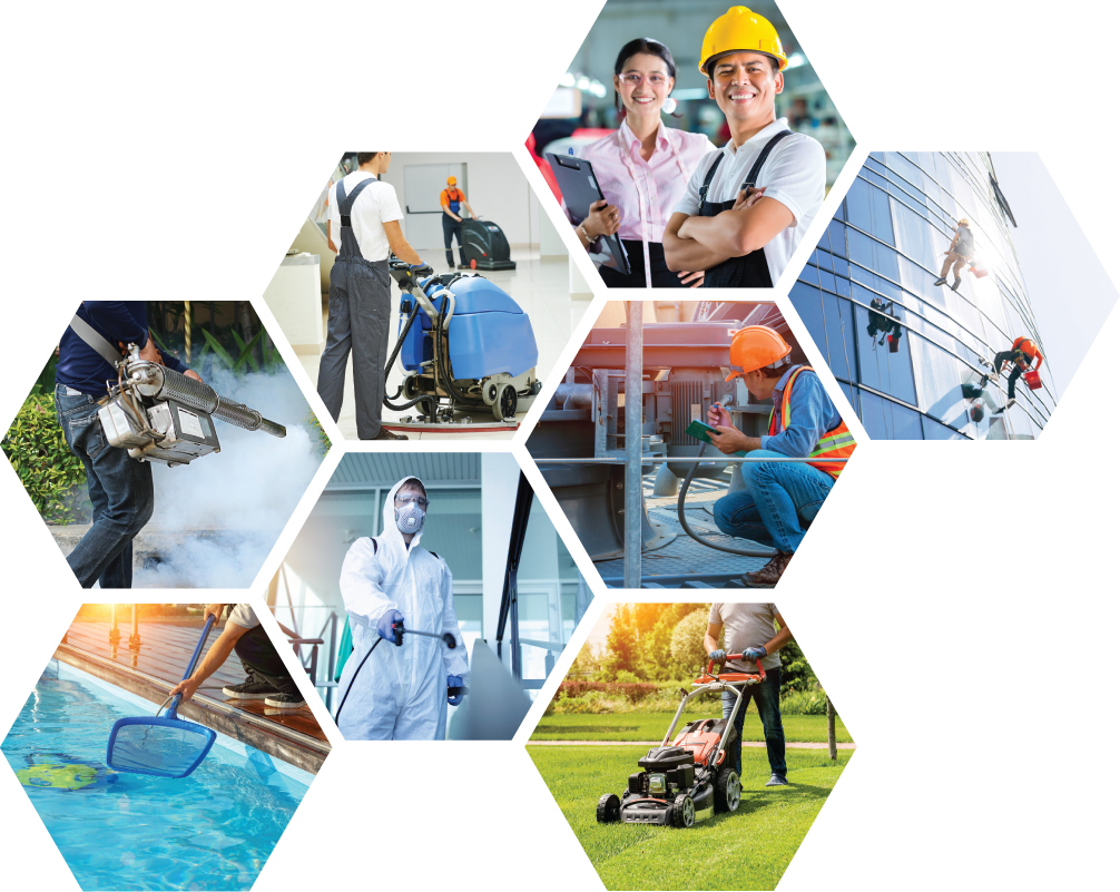 image of pest control procedures